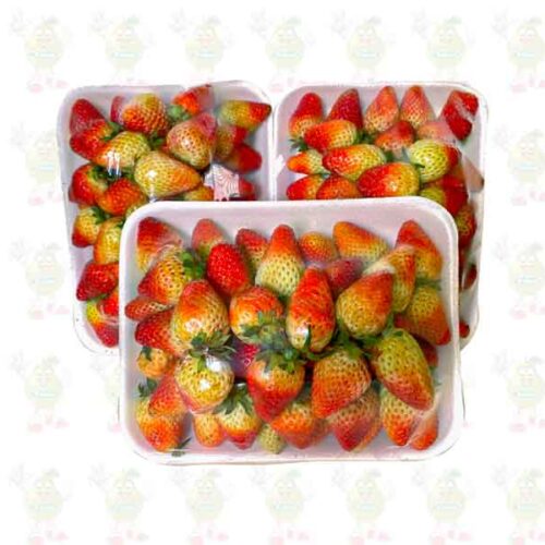 bandejas de fresa