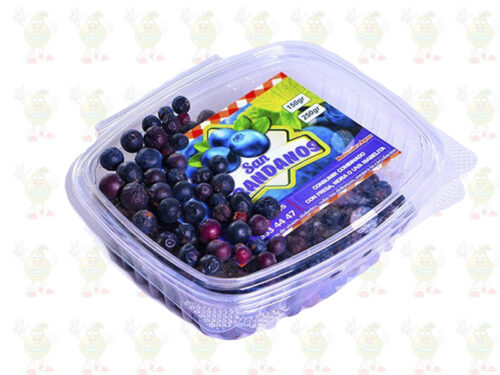 solofruver precios bajos