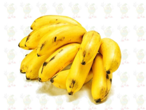 banano delicioso