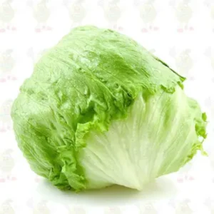 Lechuga Batavia