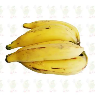 platano maduro