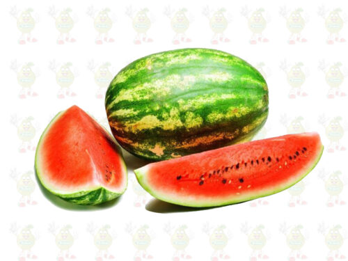 solofruver precios bajos