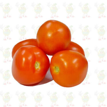 tomate chonto fruver