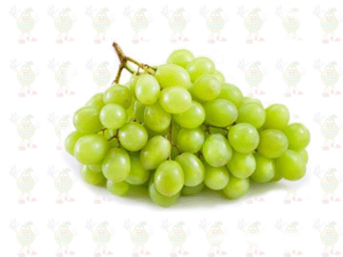 solofruver