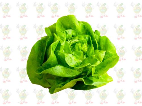 Lechuga Mantequilla x 500g