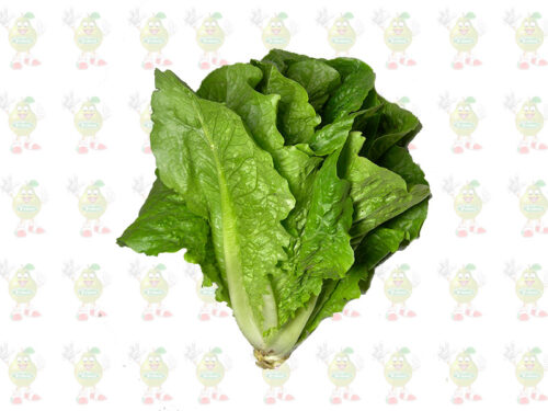 Lechuga Romana x 500g