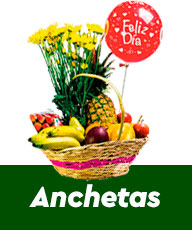 categoria ancheta