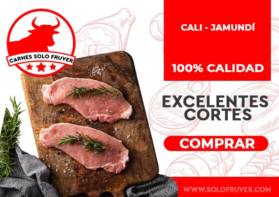 CARNES (1)