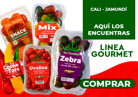 LINEA GOURMET