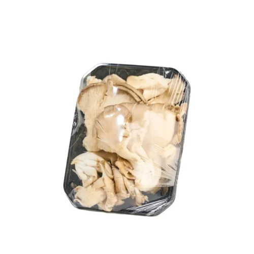 CHAMPINON-PLEUROTUS-ORELLANA-jpg